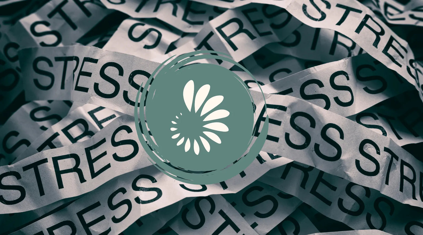 Stress and magnesium levels