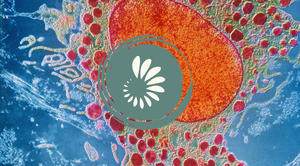 Inflammation and Mitochondrial Dysfunction: The Vicious Cycle