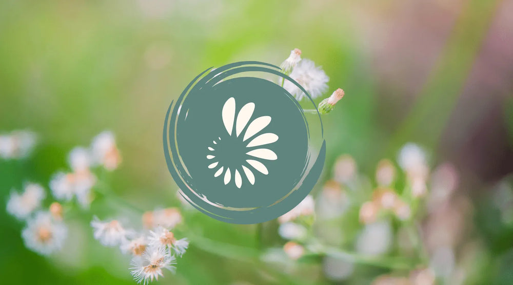 Supplements That Help Reduce Histamine: Our New Histamine Metabolism Support Complex