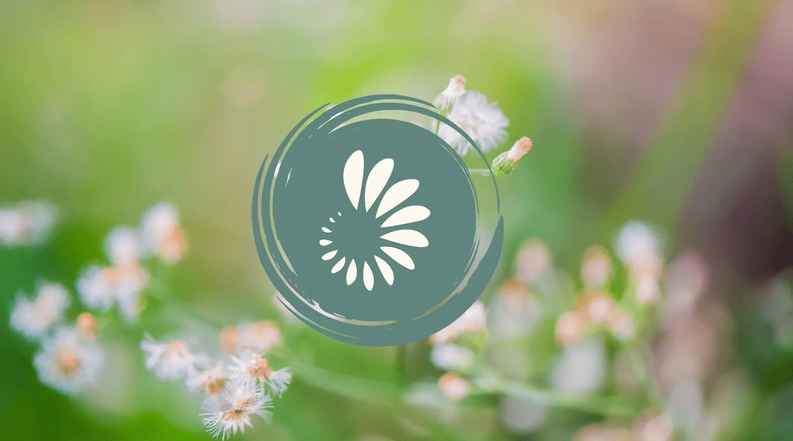 Supplements That Help Reduce Histamine: Our New Histamine Metabolism Support Complex