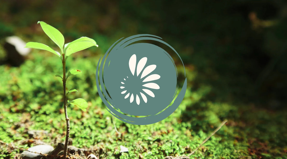 Trace Mineral Deficiencies in the Modern UK Diet