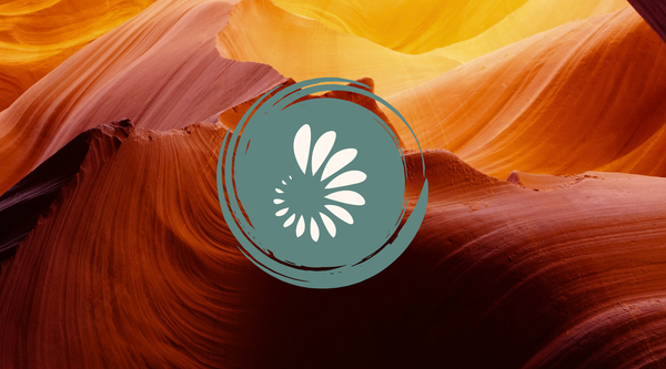 Vagus Nerve Supplements: What the Evidence Actually Shows