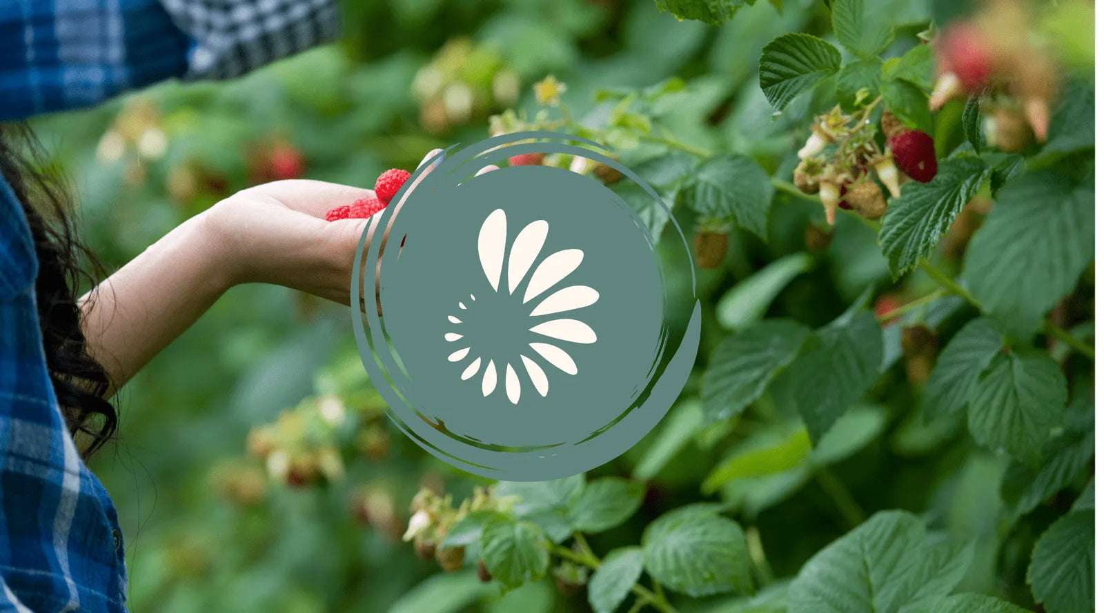 Organic Ingredients benefits