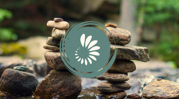 Why Copper and Zinc Balance Matters: Understanding Mineral Ratios