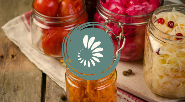 high histamine foods including fermented foods and sauerkraut in a lower histamine diet guide