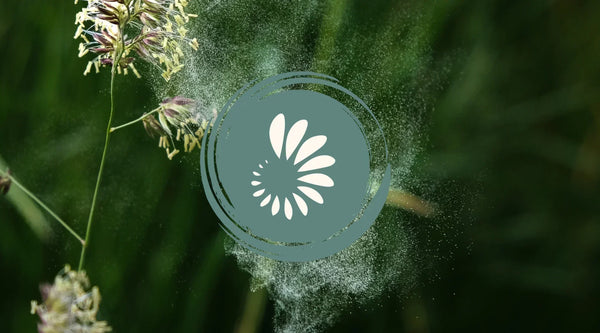 Histamine intolerance symptoms and causes including poor histamine metabolism and the role of histamine supplements