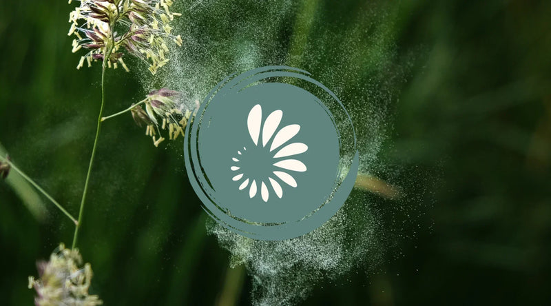 Histamine intolerance symptoms and causes including poor histamine metabolism and the role of histamine supplements