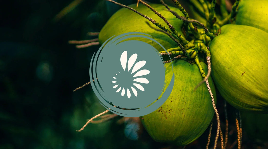 Natural Electrolytes vs Sports Drinks: A Healthier Approach to Hydration