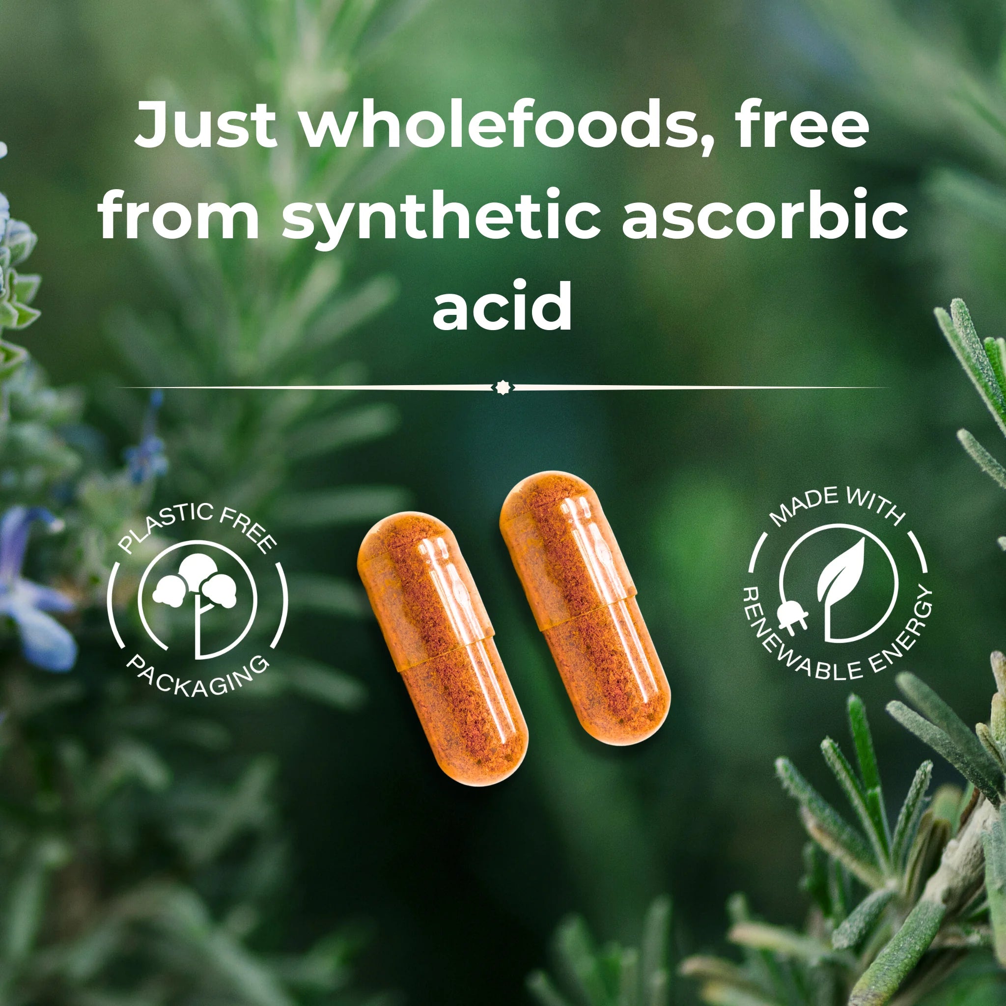 Wholefood vitamin C from pomegranate acerola camu camu and amla antioxidants