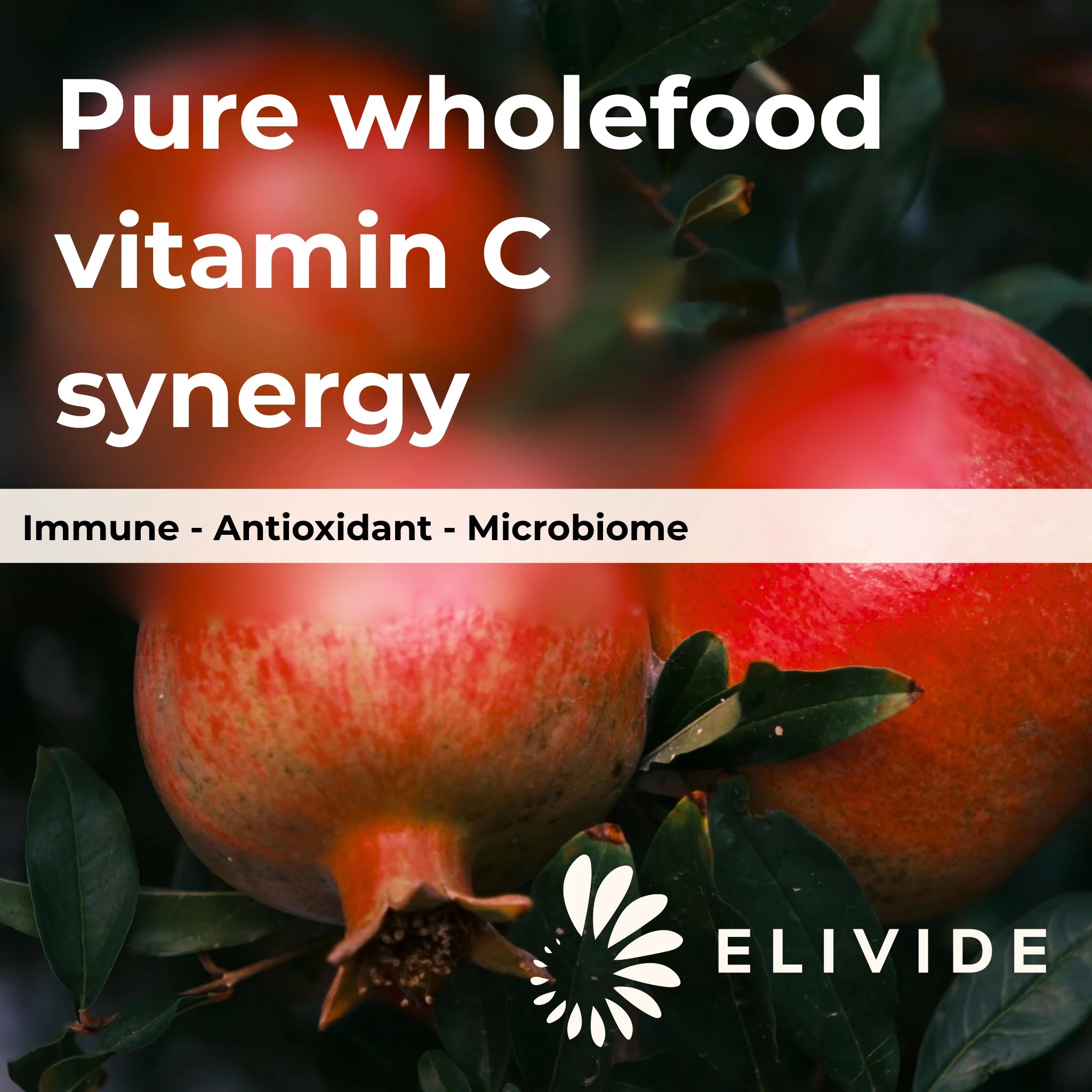 Wholefood vitamin C capsules free from synthetic ascorbic acid ELIVIDE