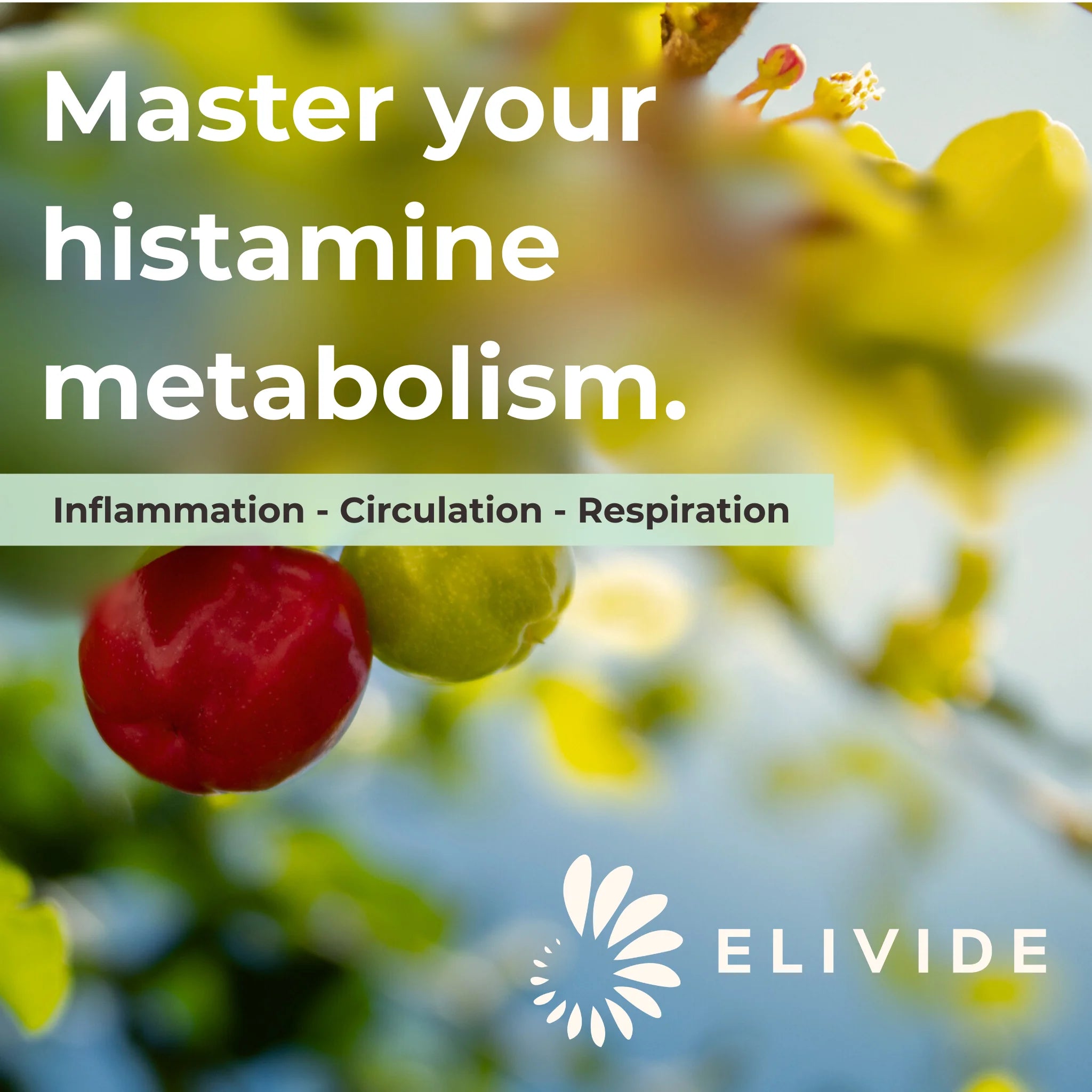Histamine Resolve supplement supporting histamine metabolism inflammation circulation and respiration