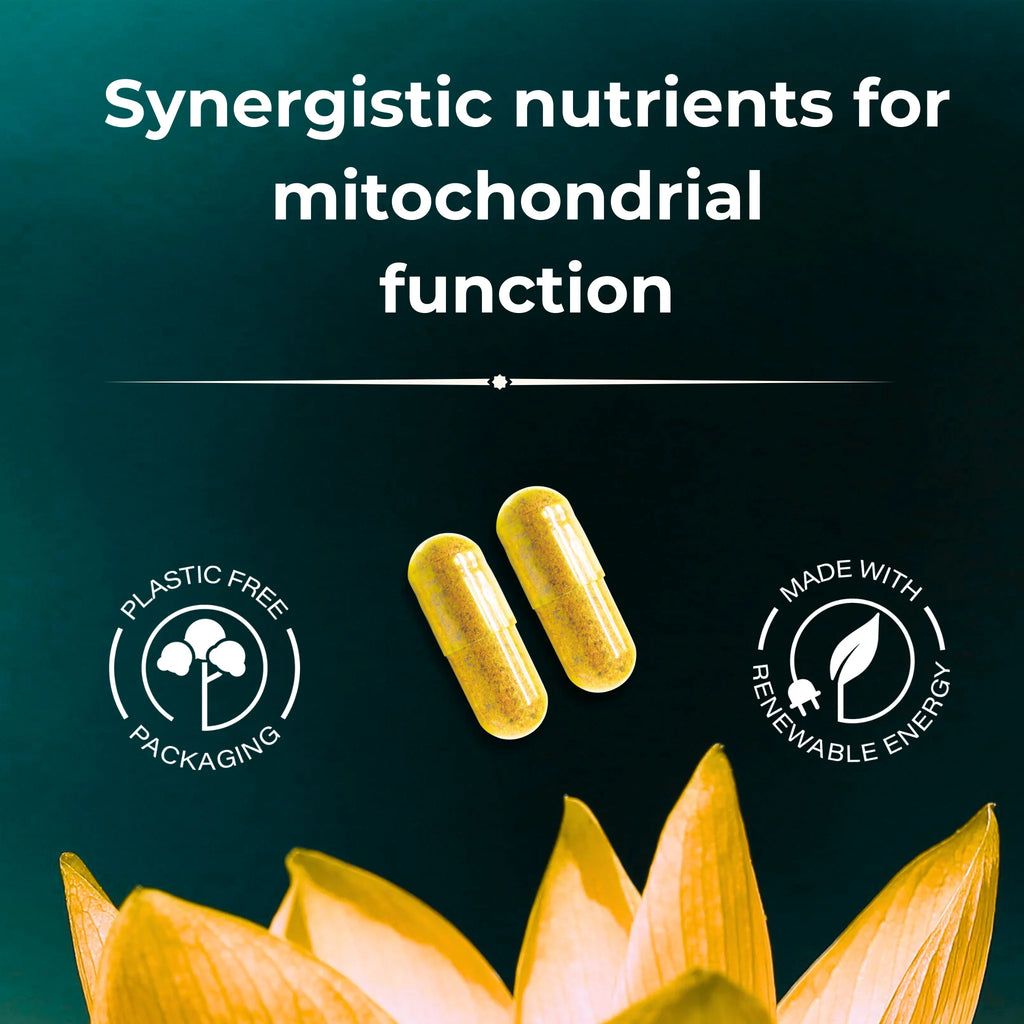 synergistic nutrients for mitochondrial function including coq10 pqq and B vitamins