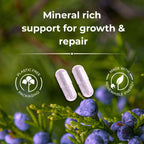 mineral rich formula supporting collagen production growth and tissue repair